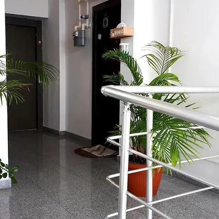 Dreamview Summerapt アパート *